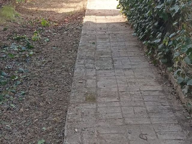 place photo 37