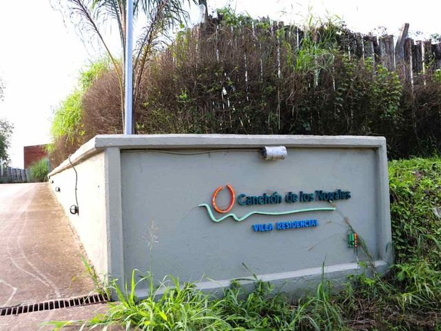 place photo 44