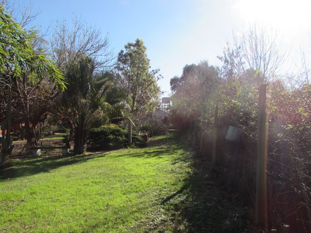 place photo 36