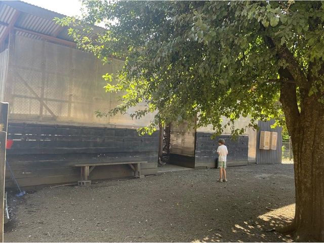 place photo 30