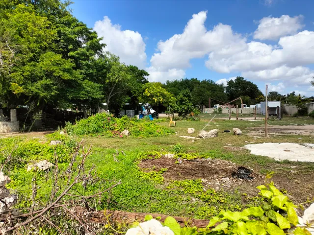 place photo 11