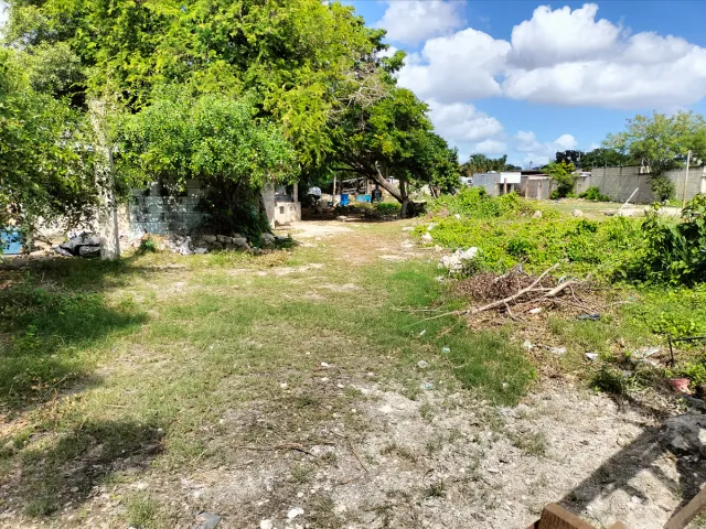 place photo 12