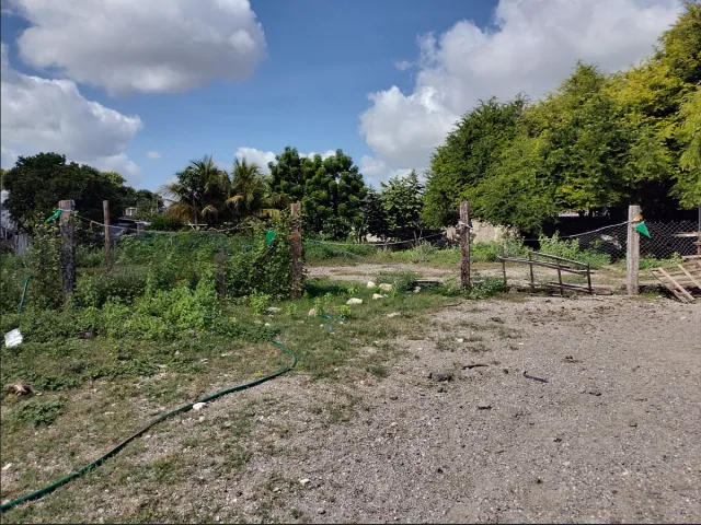 place photo 9