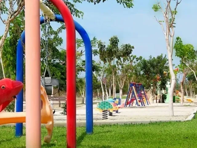 place photo 17