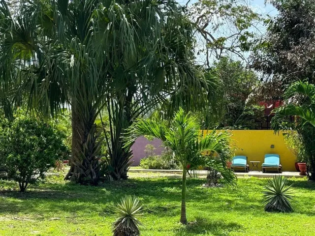 place photo 13