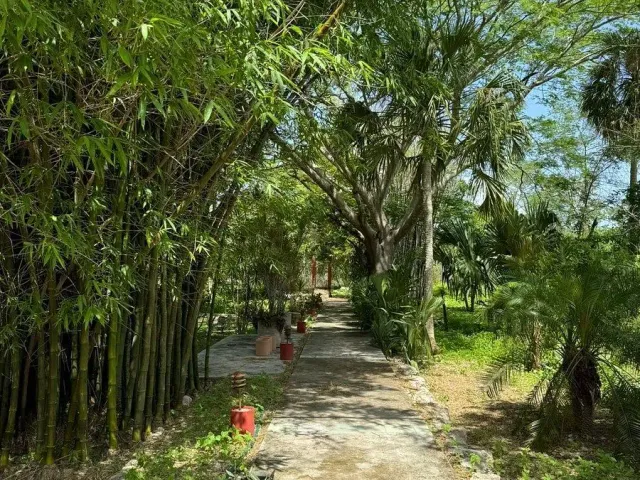 place photo 46
