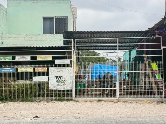 place photo 7