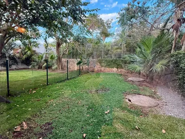 place photo 25