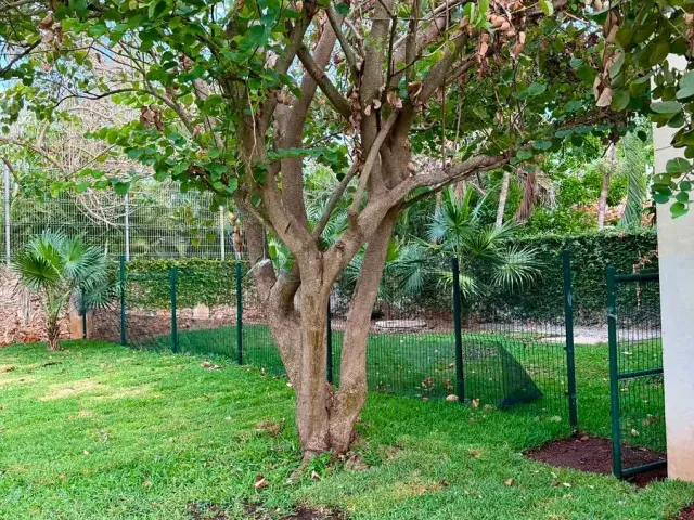 place photo 21