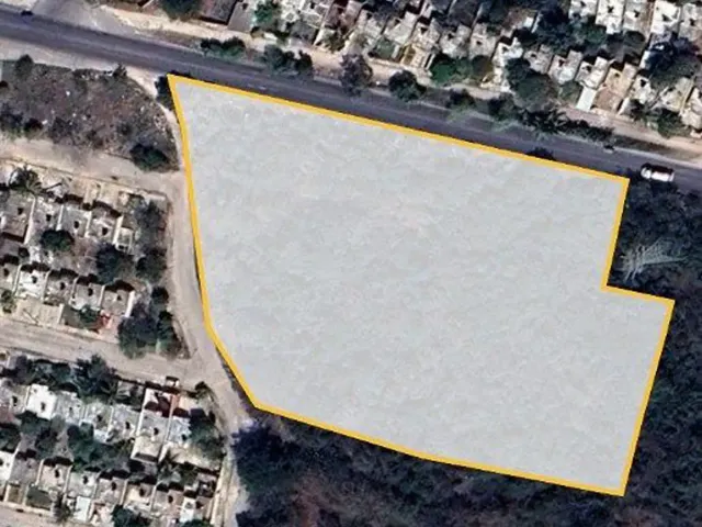 place photo 11