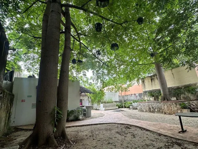 place photo 14
