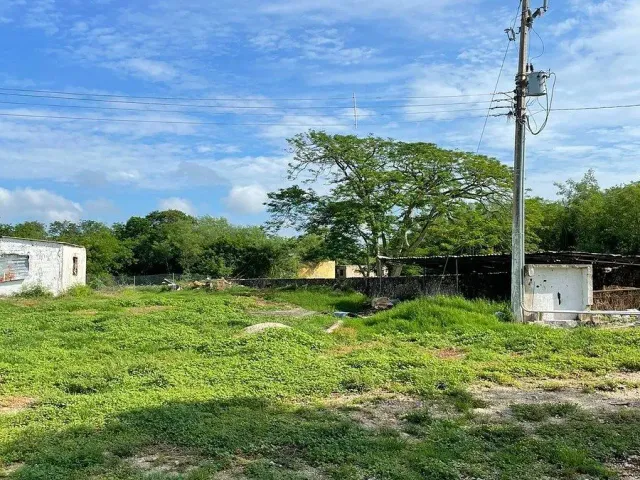 place photo 27