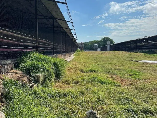 place photo 19