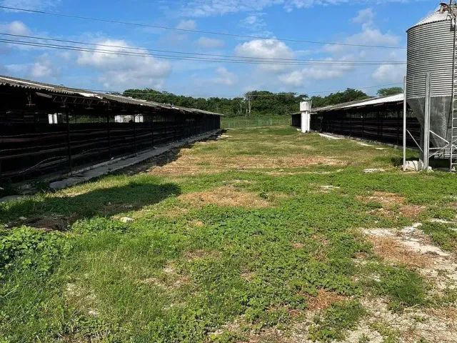 place photo 26