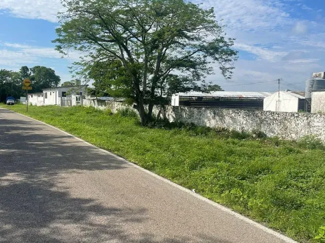 place photo 5