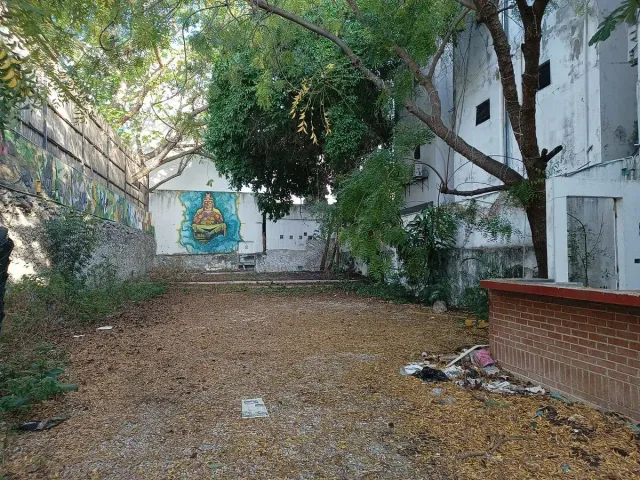 place photo 17