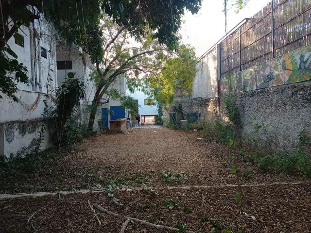place photo 13