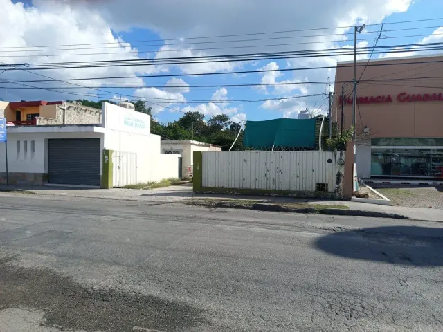 place photo 9