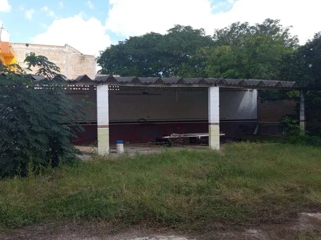 place photo 7