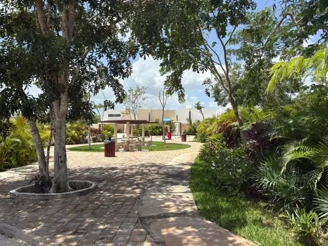 place photo 42