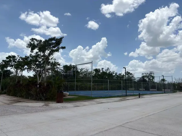 place photo 48