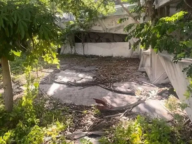 place photo 5