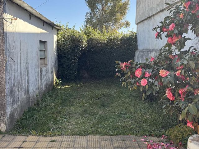 place photo 30