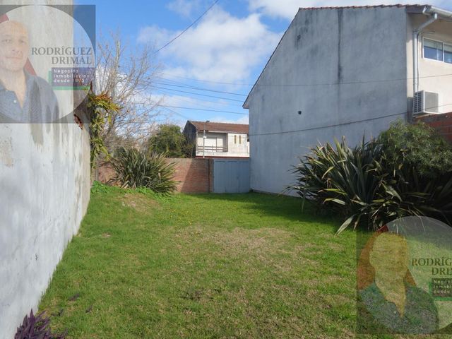 place photo 22