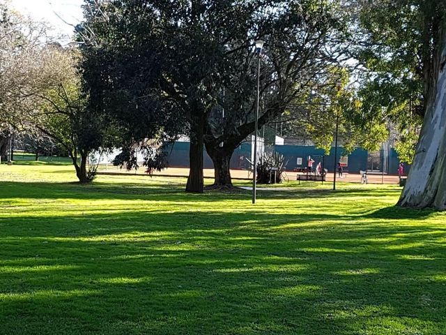 place photo 27