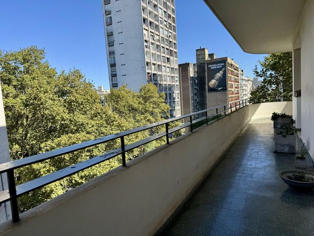 place photo 38