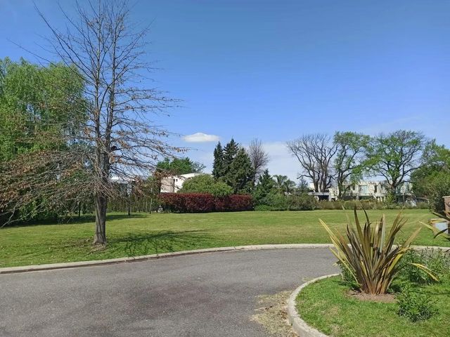 place photo 46