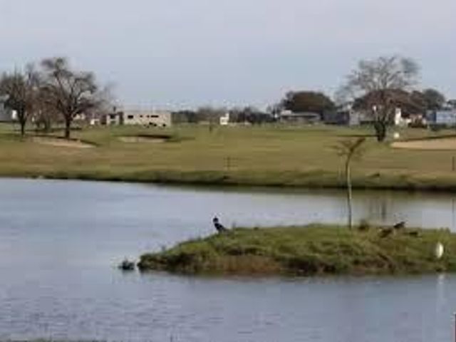 place photo 50