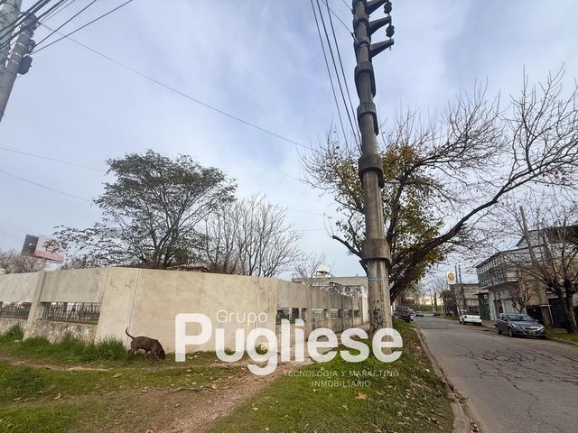 place photo 18