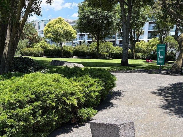 place photo 7