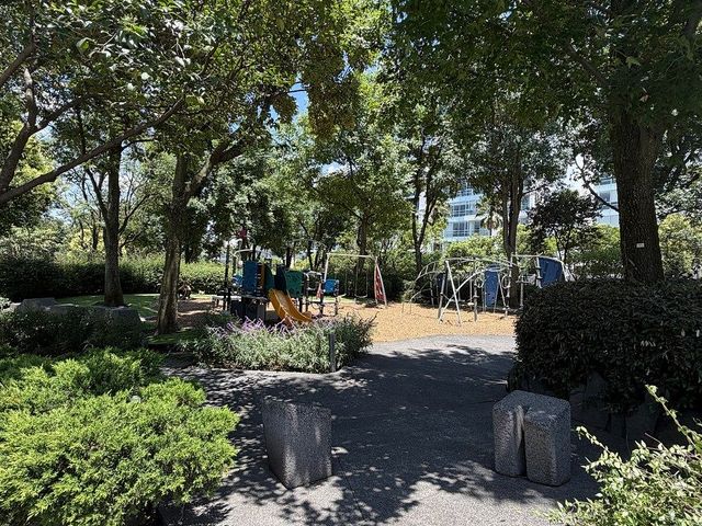 place photo 9