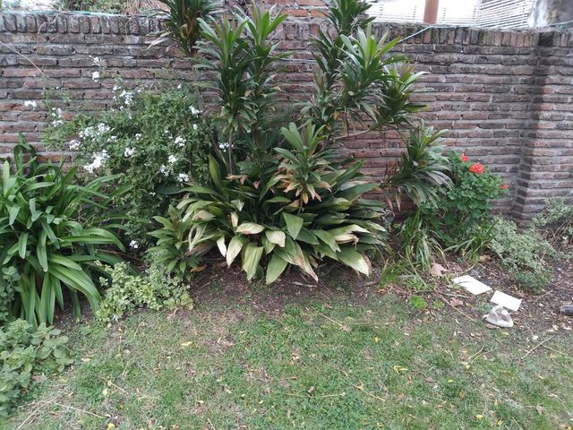 place photo 32
