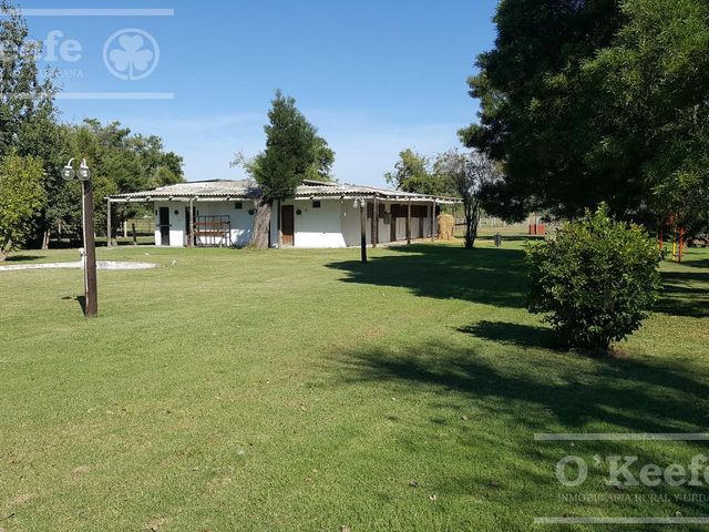 place photo 18