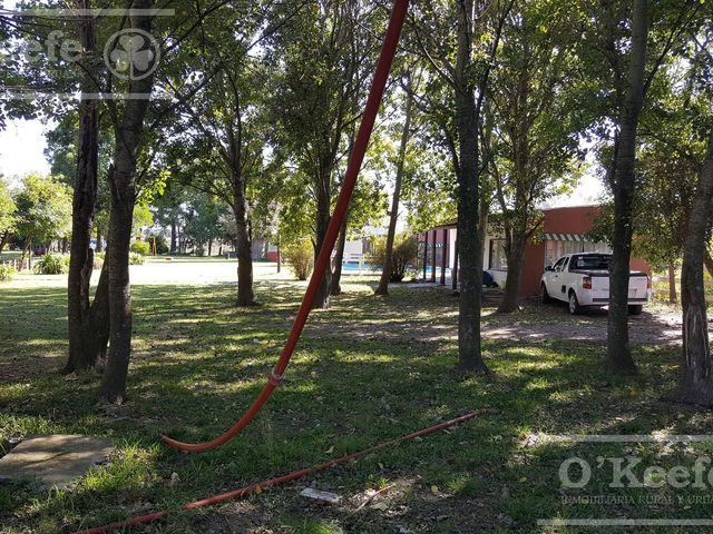place photo 13