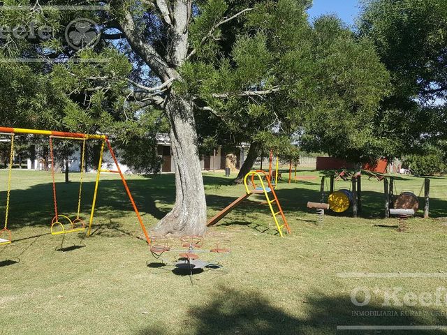 place photo 20