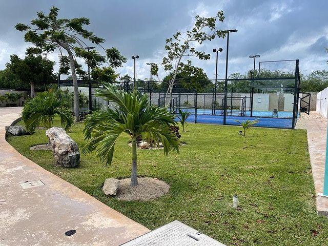place photo 21