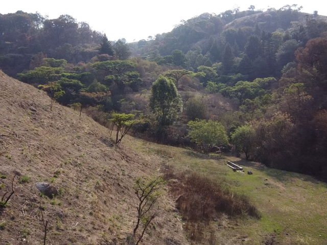 place photo 32