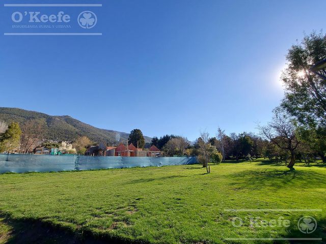 place photo 23