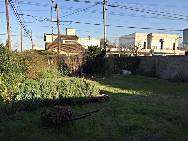 place photo 15