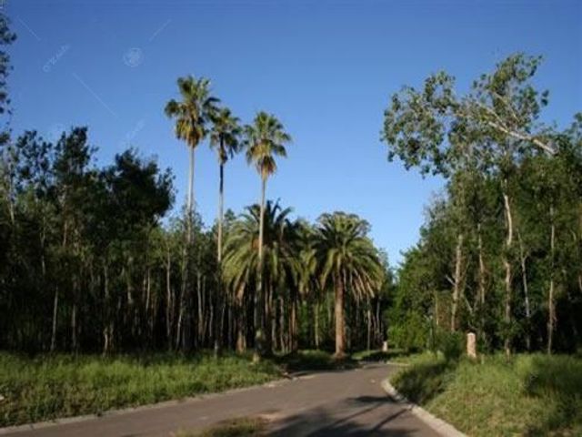 place photo 45