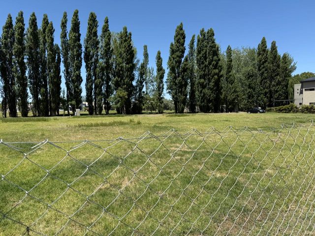 place photo 32