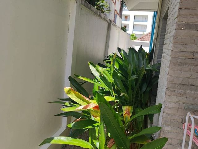 place photo 34