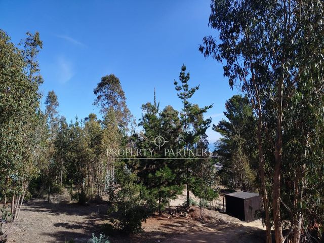 place photo 35