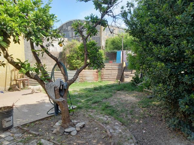 place photo 27