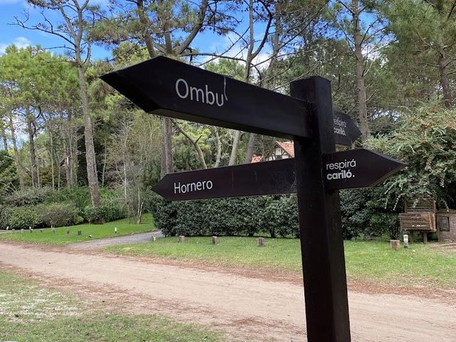 place photo 63