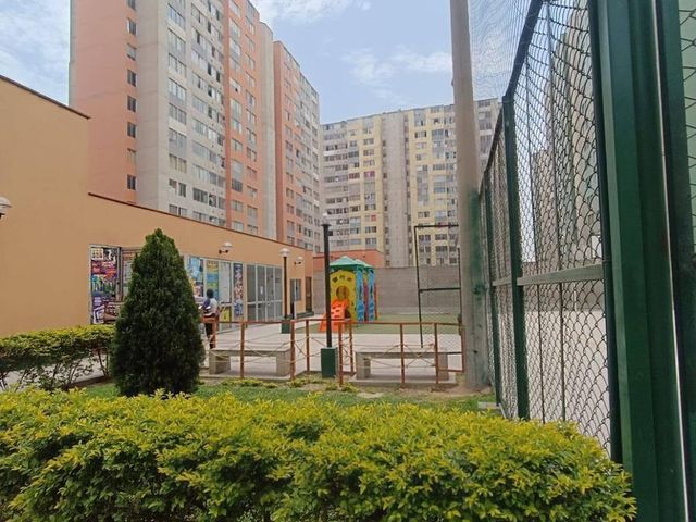 place photo 16